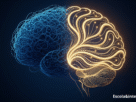 Neurociência da Gratidão: Como Ela Modifica a Química do seu Cérebro (Comprovado pela Ciência)
