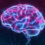 Neurociência do Amor